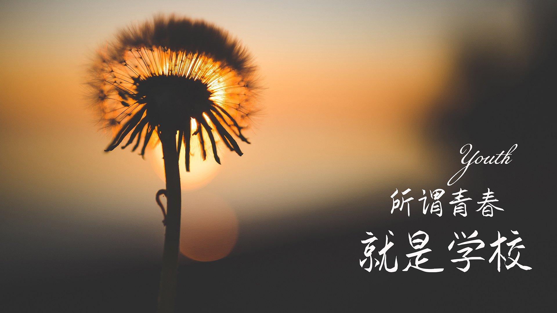 爱游戏在线登录入口-_魔术补强阵容，逆境中坚韧不拔_，魔术cull